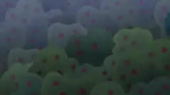 Мой маленький пони: Дружба - это Чудо 9 сезон 10 серия